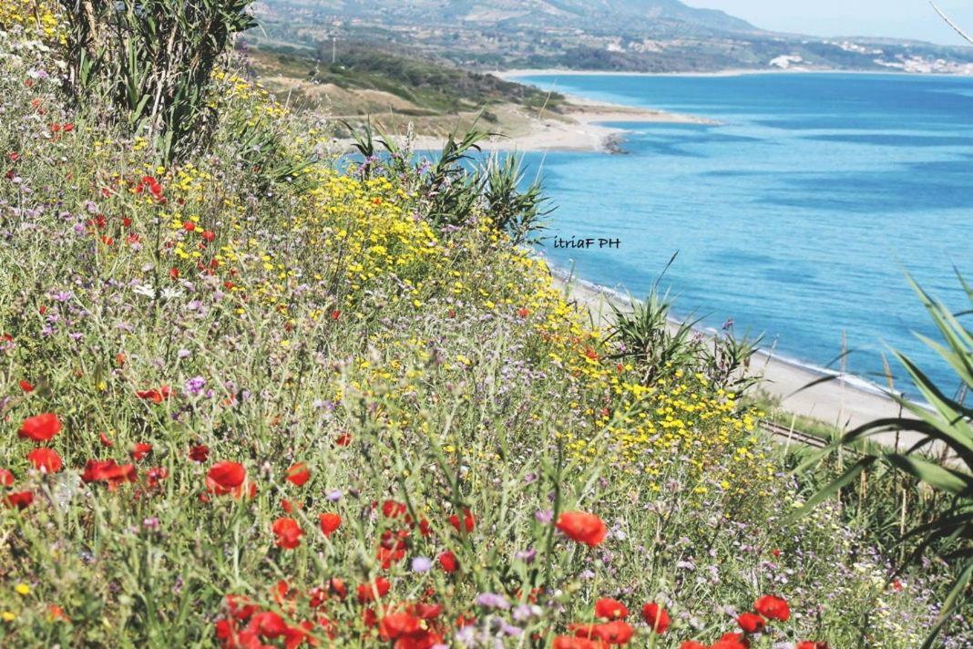 Climatizzato In Centro A 100M Dal Mare Villa Cirò Marina Exterior foto
